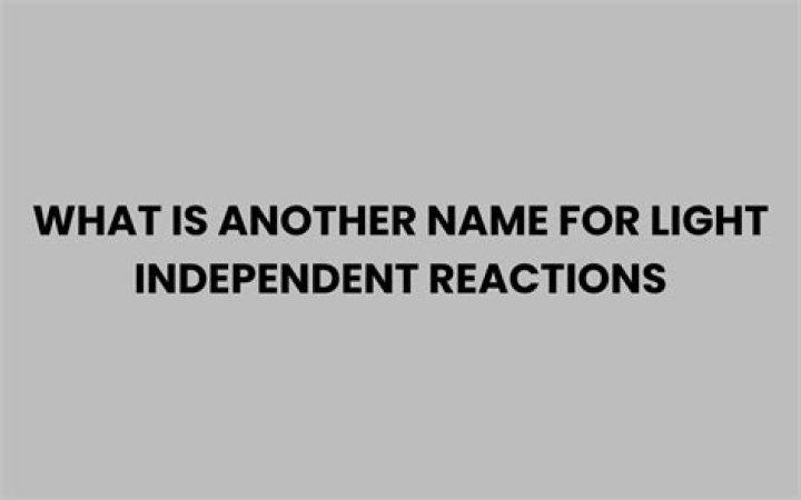 what is another name for light independent reactions