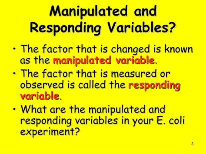 what is another term for the manipulated variable?