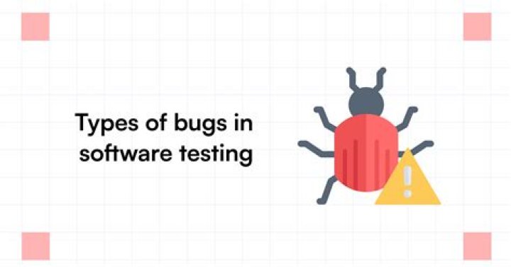 what is bug in software