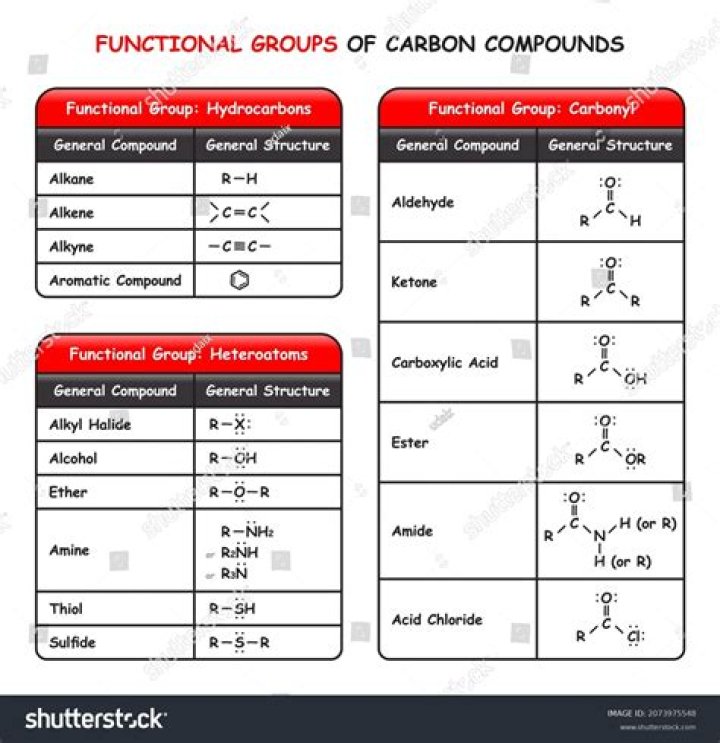 what is carbons family name
