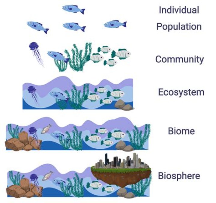 what is community in biology