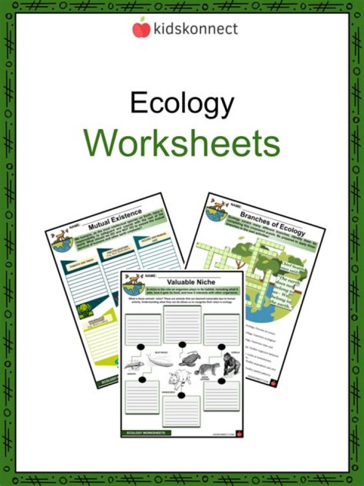 what is ecology worksheet answers