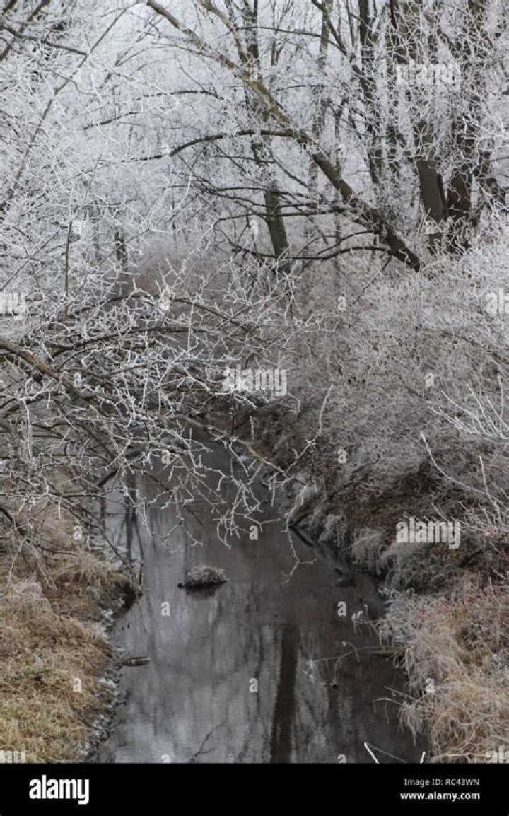 what is frozen fog called