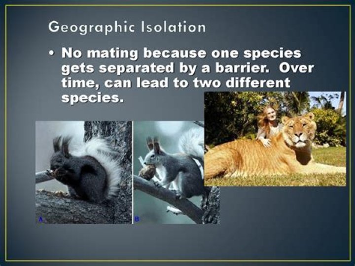 what is geographic isolation - Lisbd-net.com