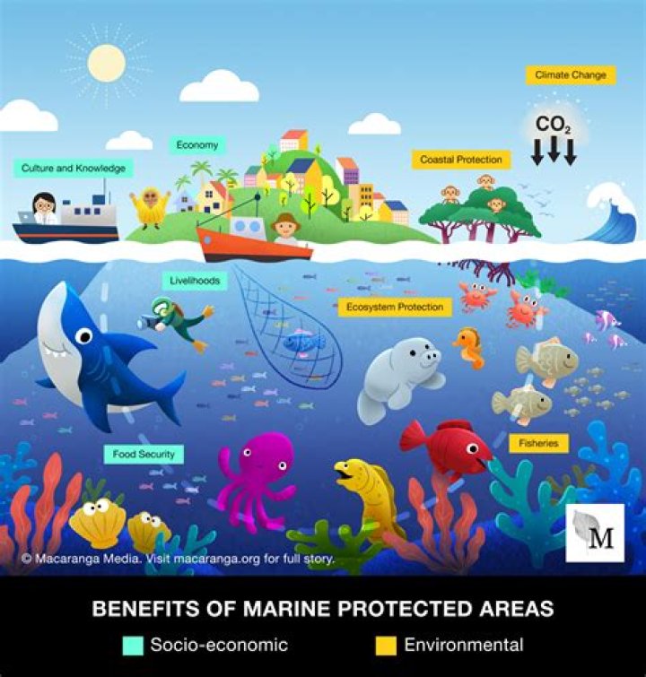 what is involved in protecting land resources