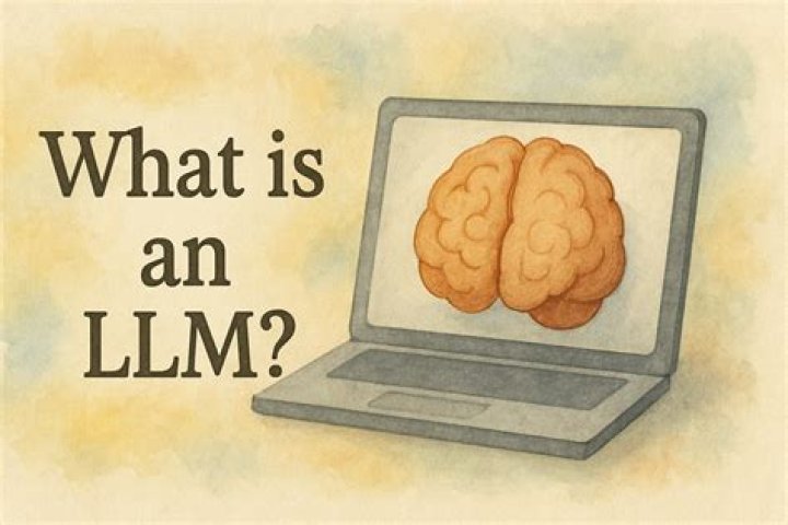 what is it major - Lisbd-net.com