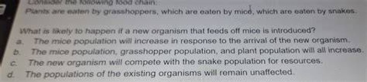 what is likely to happen if a new organism that feeds off mice is introduced?