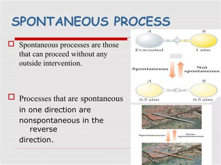 what is meant by a spontaneous process