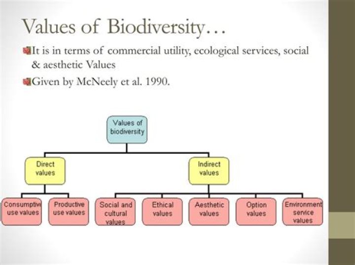 what is meant by the value of biodiversity