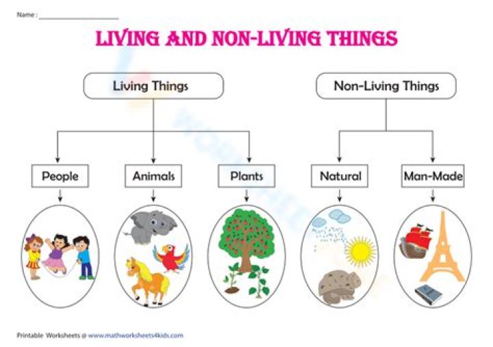 what is non living - Lisbd-net.com