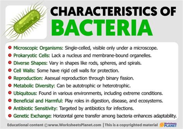 what is not a characteristic of bacteria