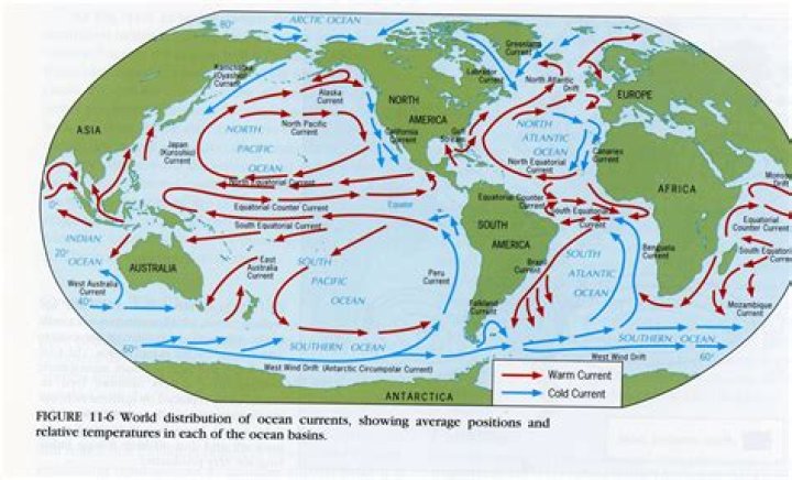 what is ocean circulation - Lisbd-net.com