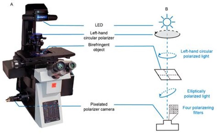 what is optical microscopy - Lisbd-net.com