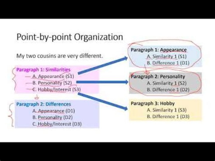 what is point by point organization