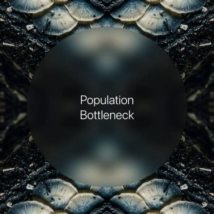 what is population bottleneck - Lisbd-net.com