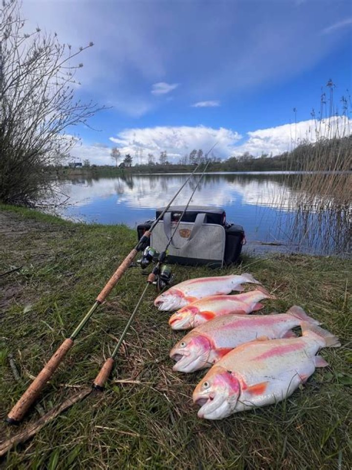 what is put and take fishing
