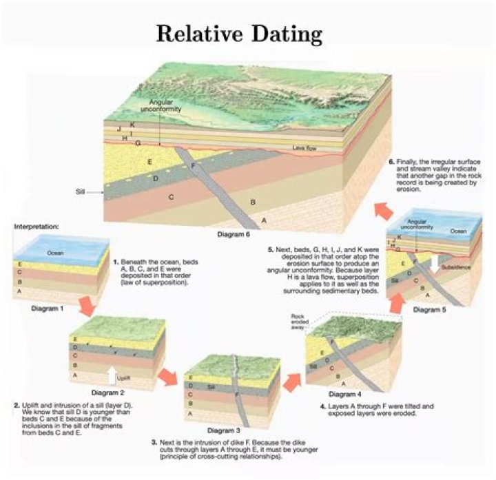 what is relative dating in biology