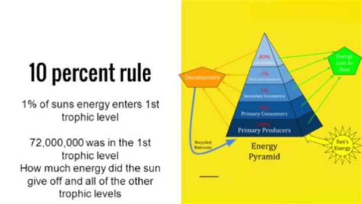 what is the 10 percent rule
