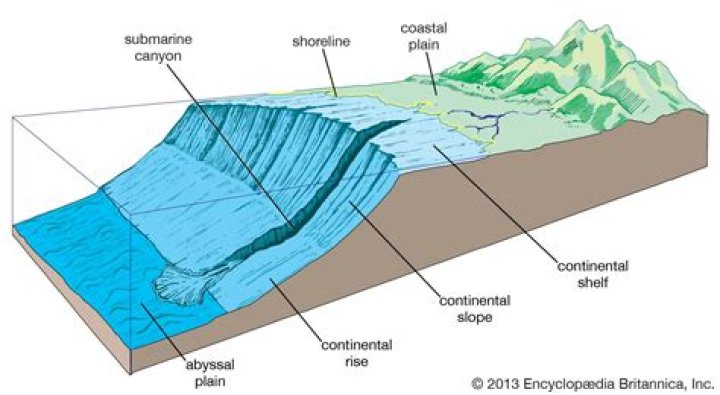 what is the abyssal plain?