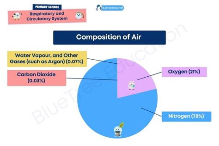 What Is The Air We Breathe Made Up Of?