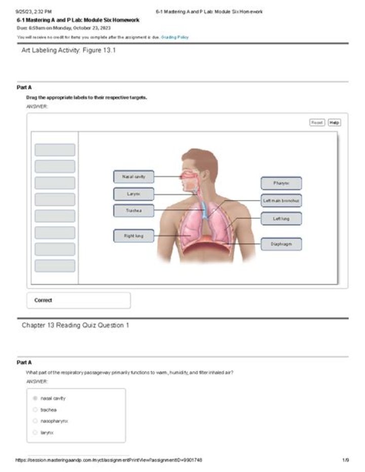 what is the arrow pointing to mastering biology