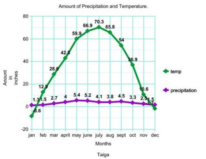 what is the average precipitation in the taiga