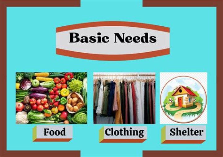 what is the basic unit of living things