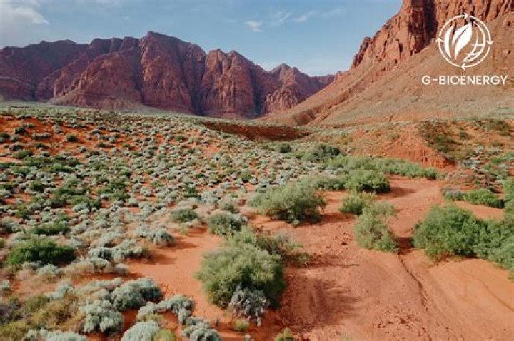 what is the climate of the gobi desert