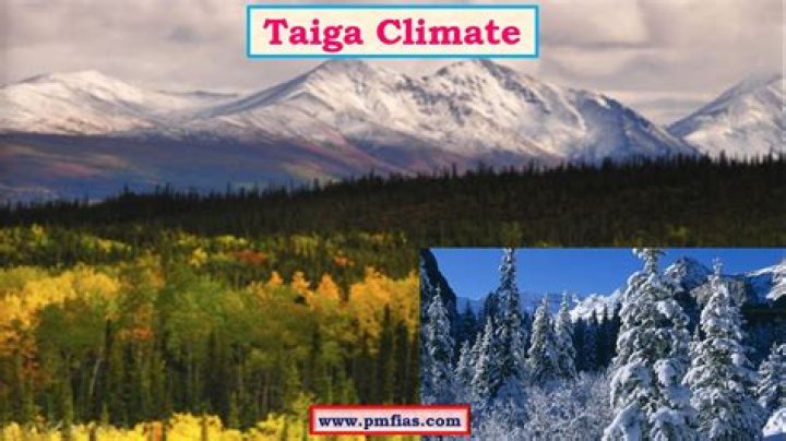 what is the climate of the taiga