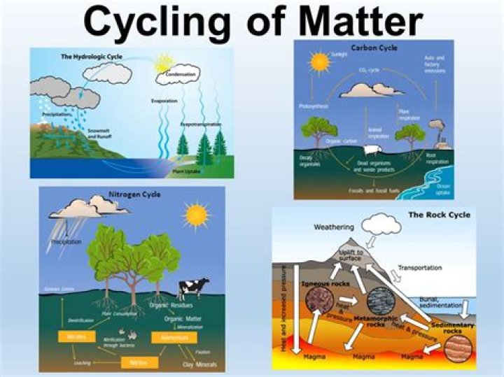 what is the cycle of matter