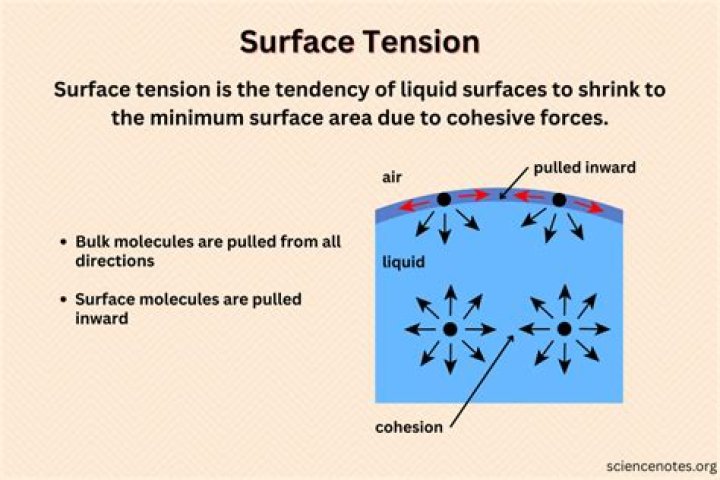 what is the definition of surface currents