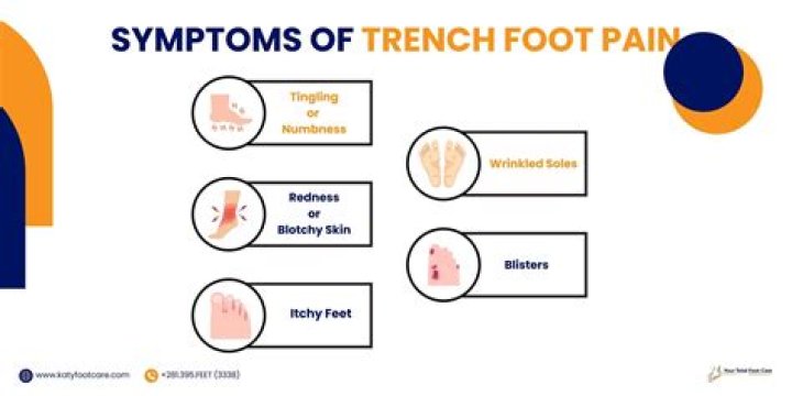what is the definition of trench