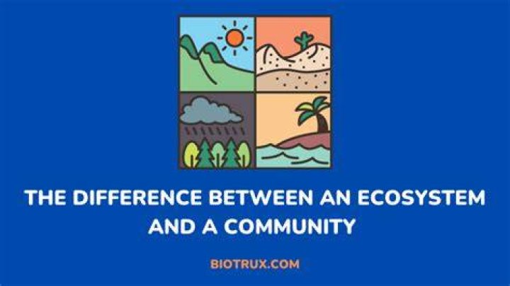 what is the difference between a community and an ecosystem?