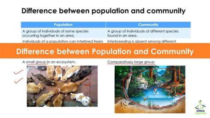 what is the difference between a community and population
