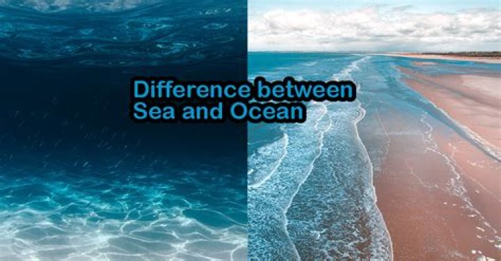 what is the difference between a sea and ocean