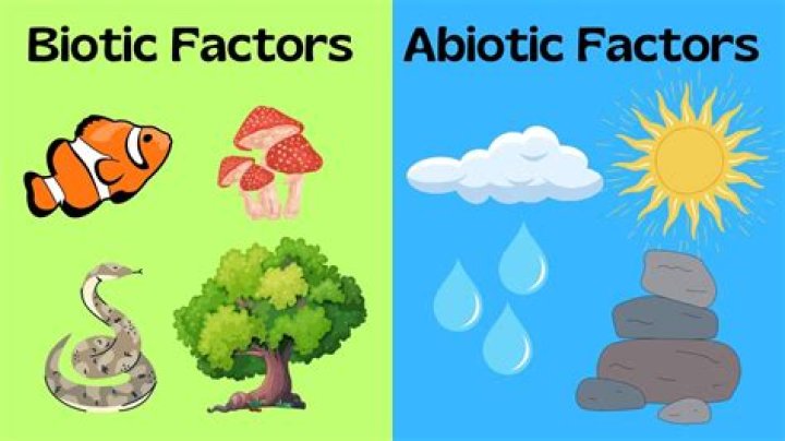what is the difference between abiotic and biotic factors