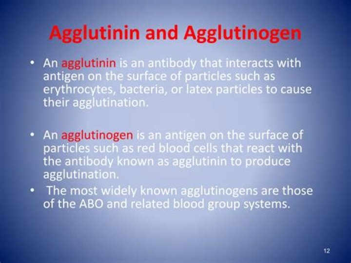 what is the difference between agglutinogen and agglutinin