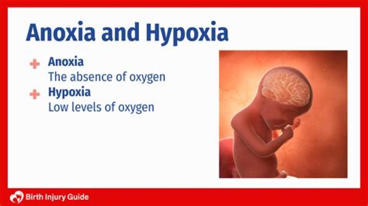 what is the difference between anoxia and hypoxia