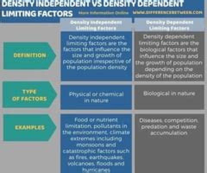 what is the difference between density dependent and density independent factors