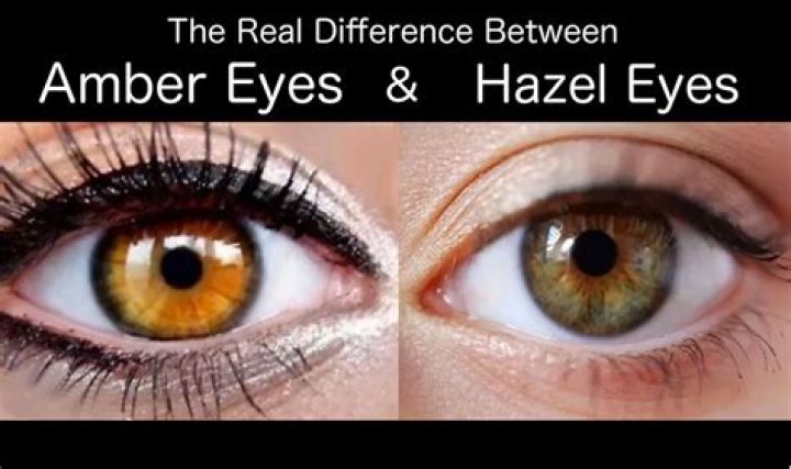 what is the difference between green and hazel eyes