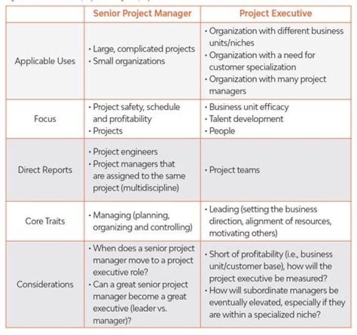 what is the difference between the roles of the systems analyst and the project manager?