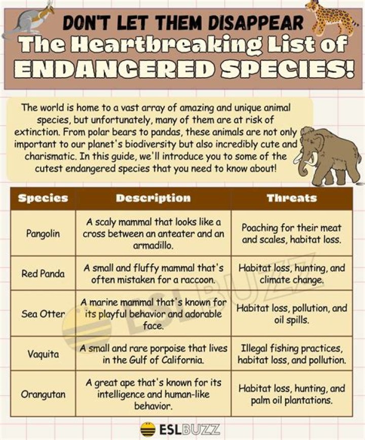 what is the difference between threatened endangered and extinct species