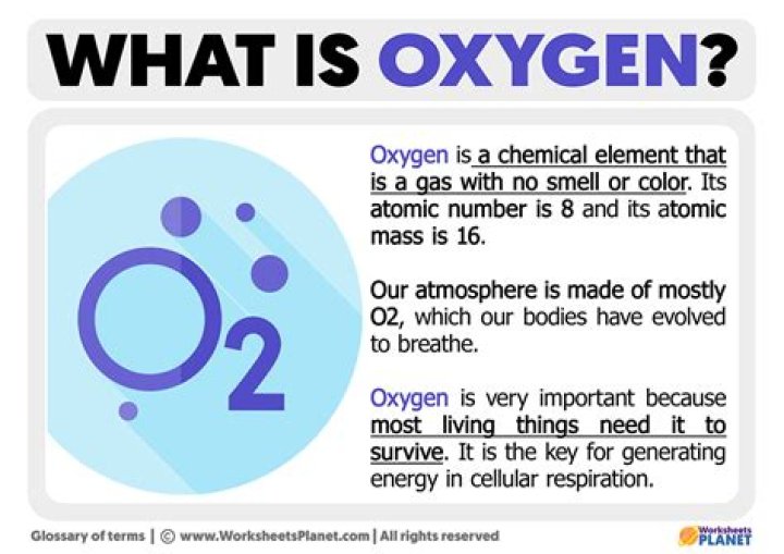 what is the importance of oxygen