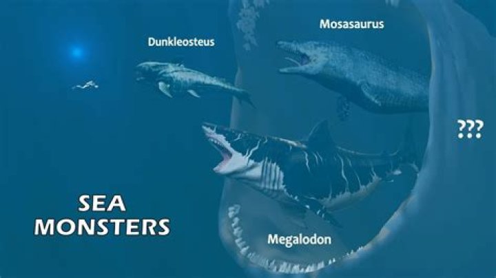 what is the largest predator in the ocean