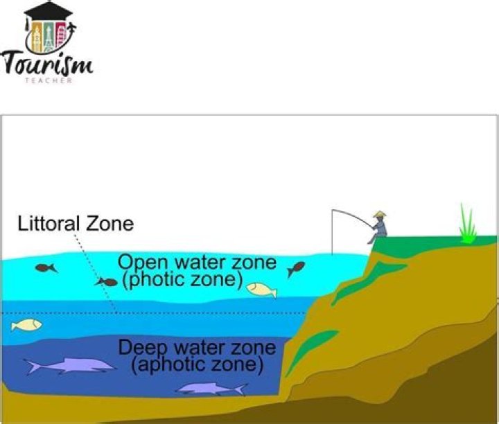what is the littoral zone