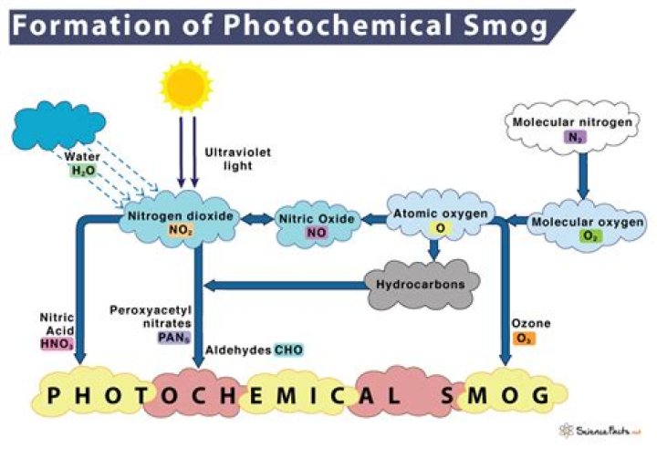 what is the main component of photochemical smog