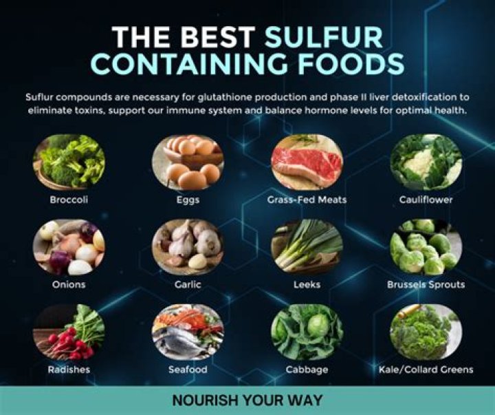 what is the major source of dietary sulfur