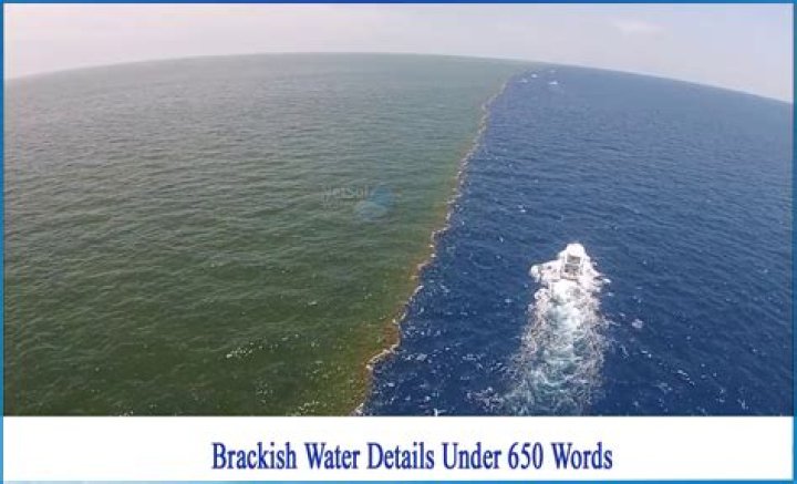 what is the meaning of brackish
