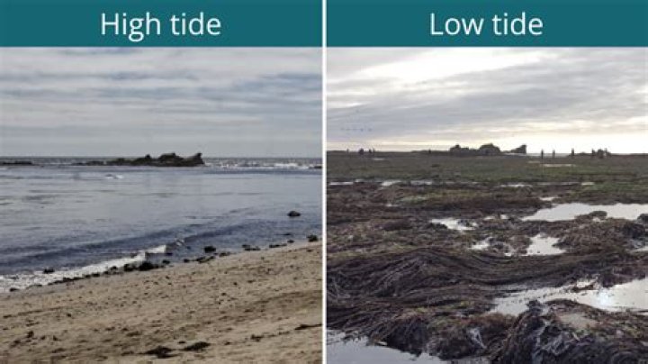 what is the meaning of high tide