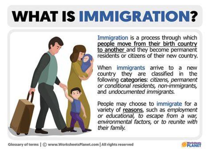 what is the meaning of immigrant